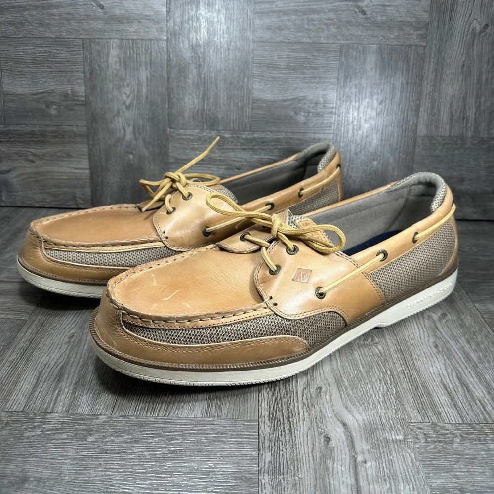 Sperry surveyor eye